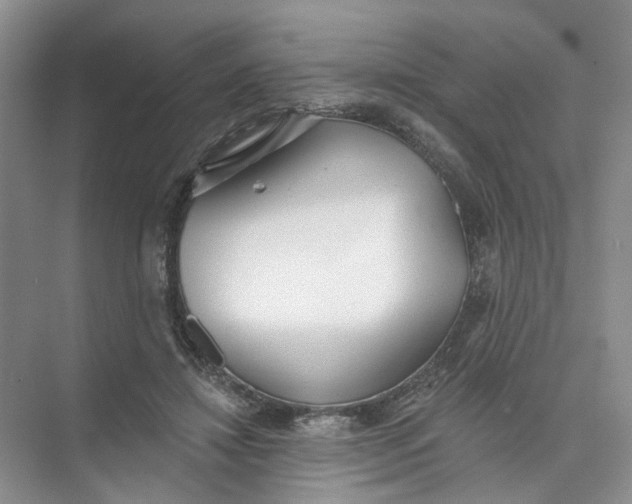 X0000073830452200608311913