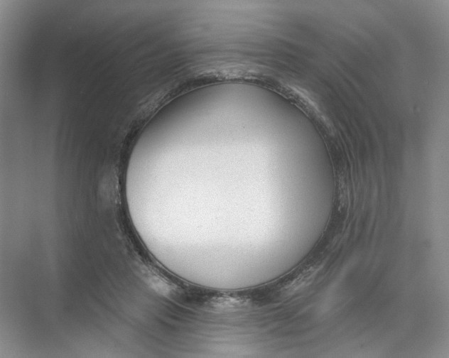 X0000073830453200608311913