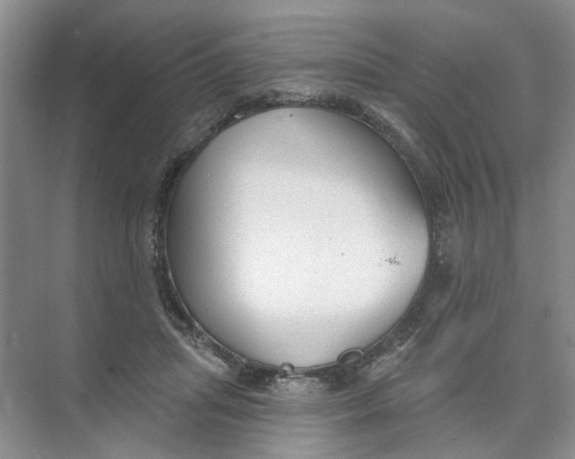 X0000073830455200608311913