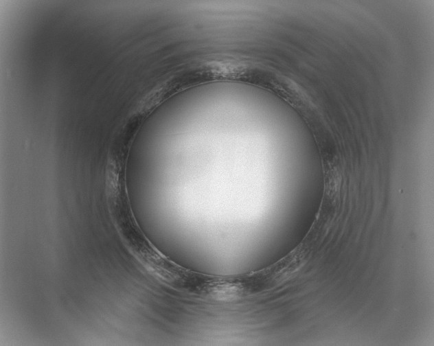 X0000073830456200608311913