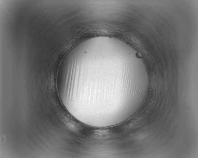 X0000073830457200608311913