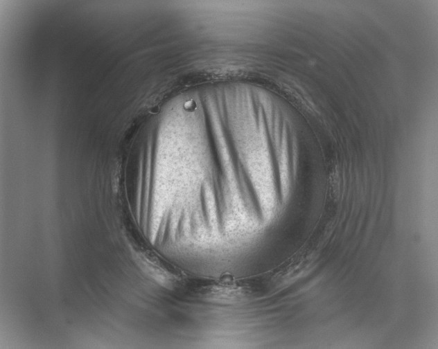 X0000073830458200608311913