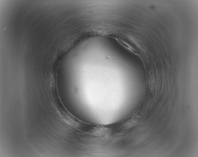 X0000073830459200608311913