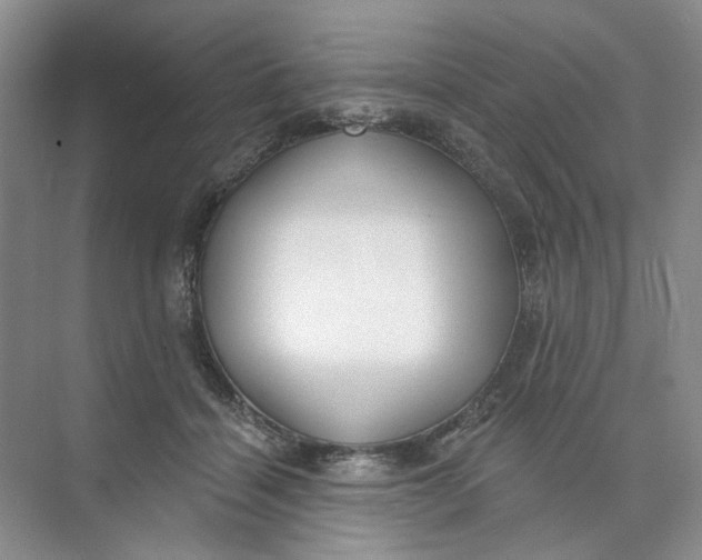 X0000073830460200608311913