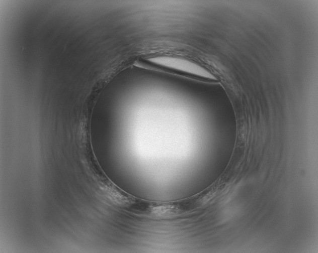 X0000073830461200608311913