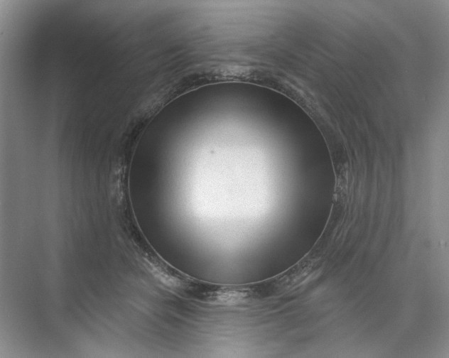 X0000073830462200608311913