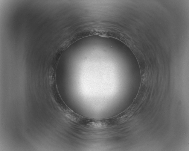 X0000073830464200608311913