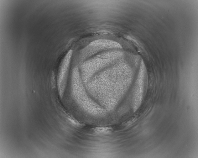 X0000073830465200608311913