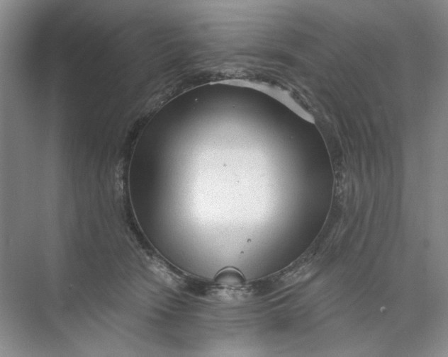 X0000073830466200608311913