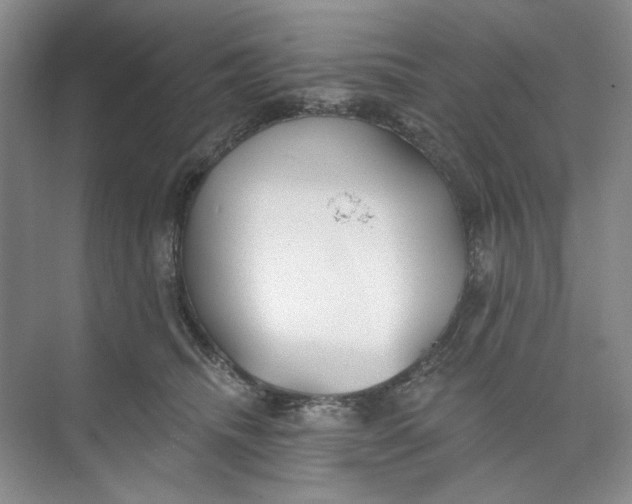 X0000073830468200608311913