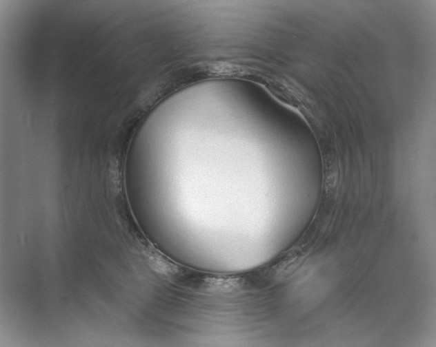 X0000073830469200608311913