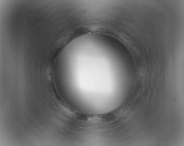 X0000073830470200608311913