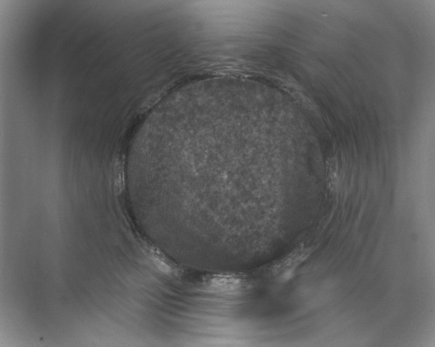 X0000073830471200608311913