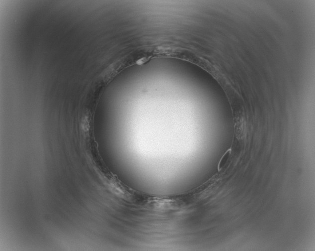 X0000073830472200608311913