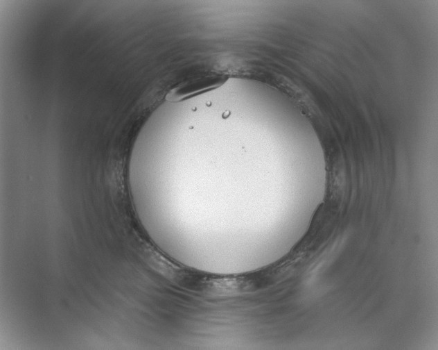 X0000073830473200608311913