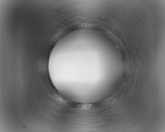 X0000073830474200608311913