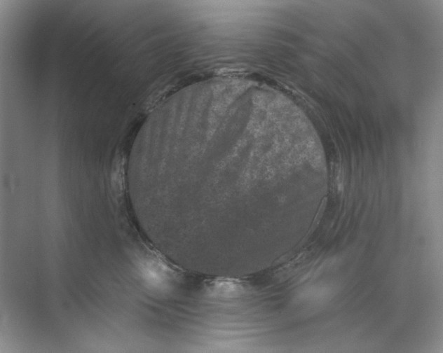 X0000073830475200608311913