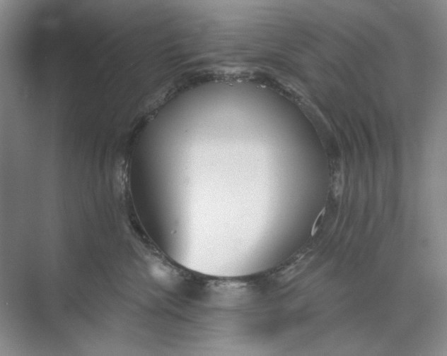 X0000073830476200608311913