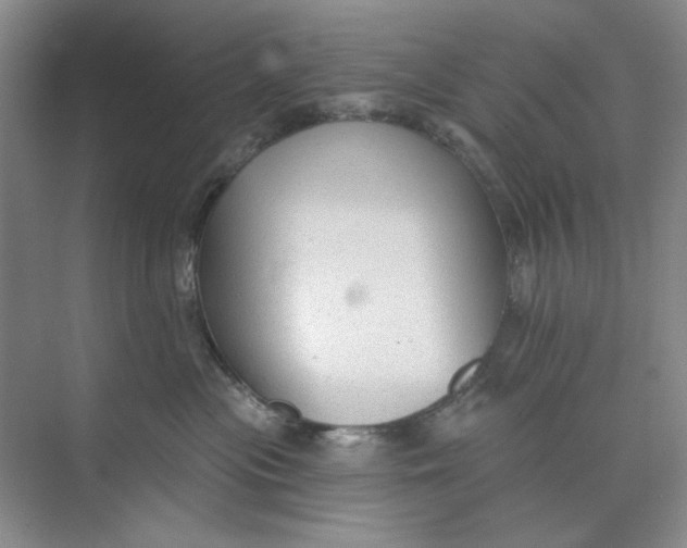 X0000073830477200608311913