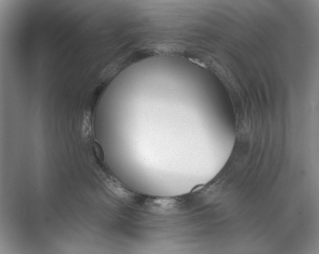 X0000073830478200608311913