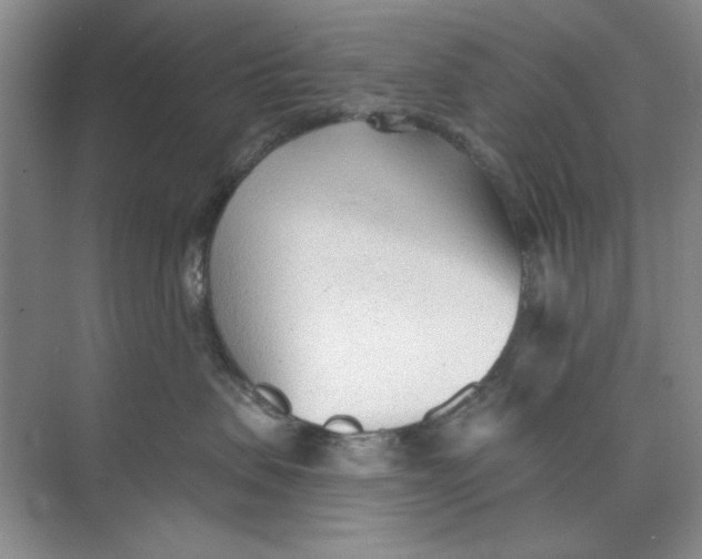 X0000073830479200608311913