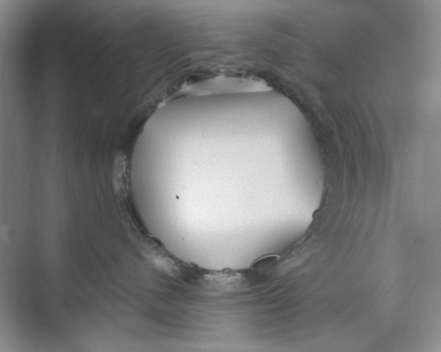 X0000073830480200608311913