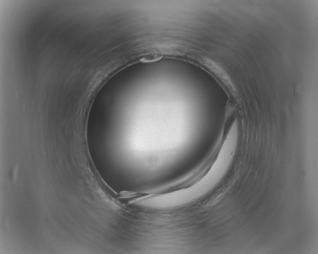 X0000073830481200608311912