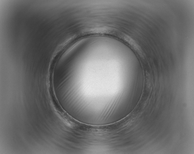 X0000073830486200608311912