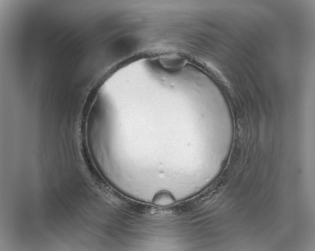 X0000073830487200608311912