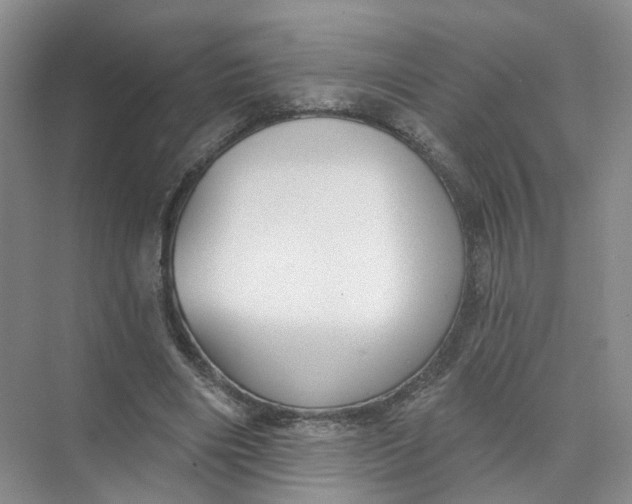 X0000073830490200608311912