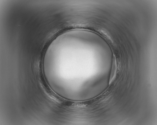 X0000073830491200608311912