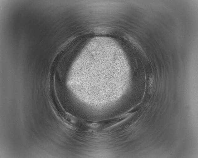 X0000073830492200608311912