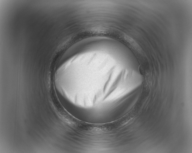 X0000073830494200608311912