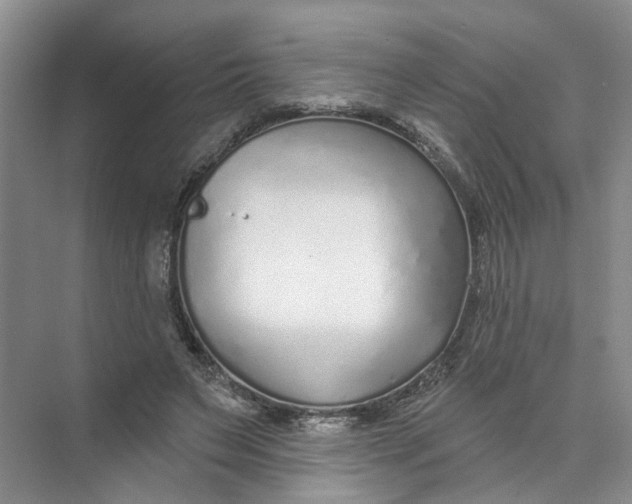 X0000073830495200608311912