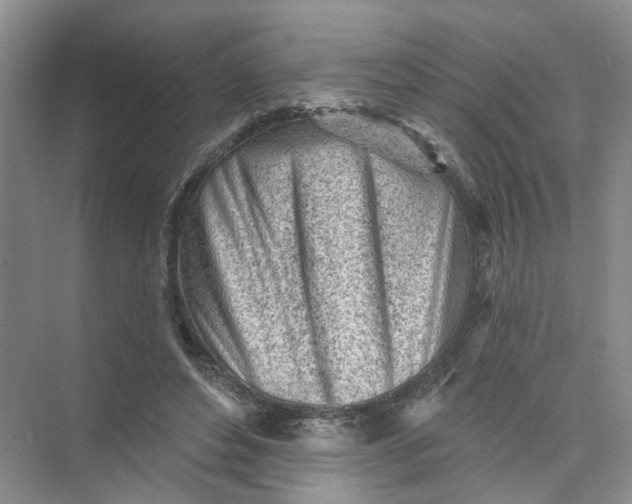 X0000073830496200608311912