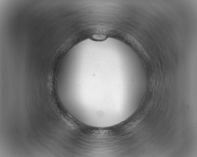 X0000073830497200608311912