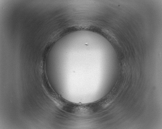 X0000073830498200608311912