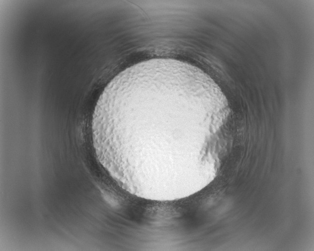 X0000073830503200608311912