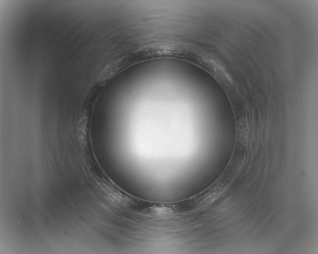 X0000073830509200608311912