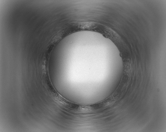 X0000073830510200608311912