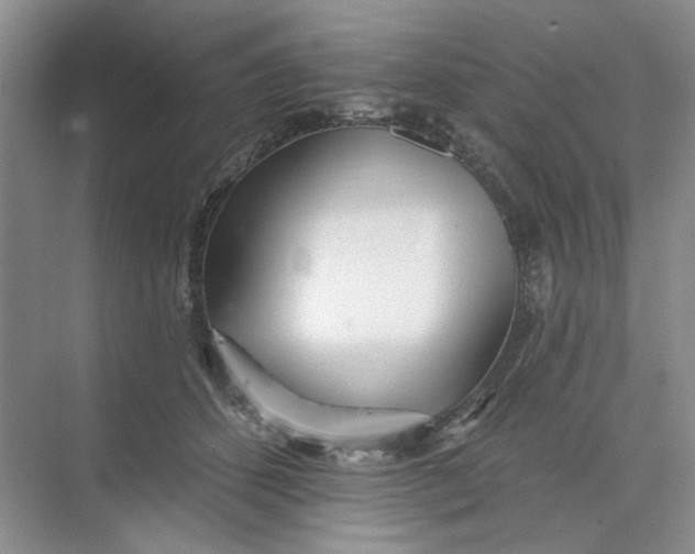 X0000073830512200608311912