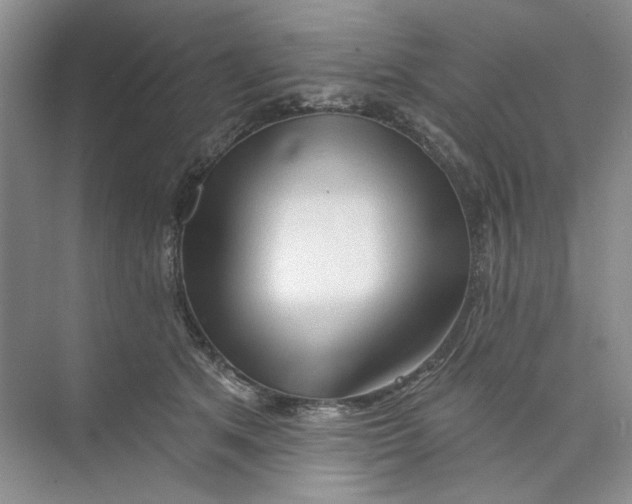 X0000073830513200608311912