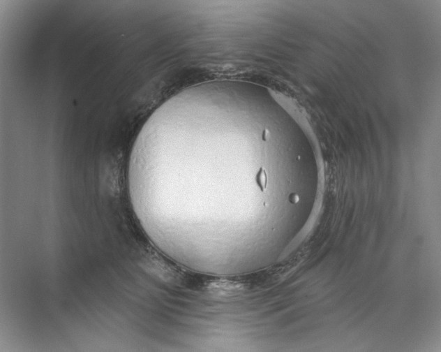 X0000073830515200608311912