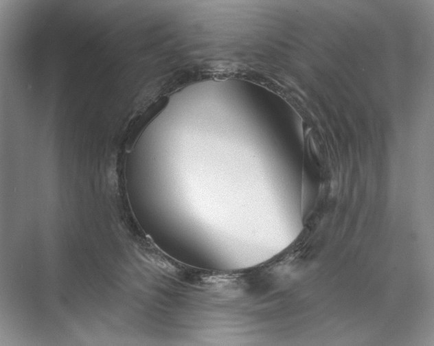 X0000073830516200608311912