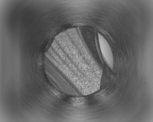 X0000073830517200608311912