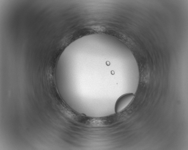 X0000073830518200608311912