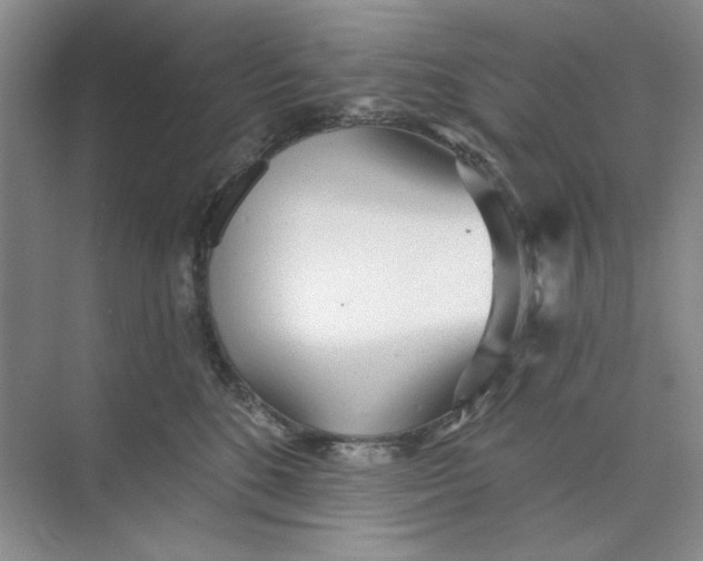 X0000073830520200608311912