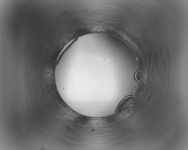 X0000073830521200608311912