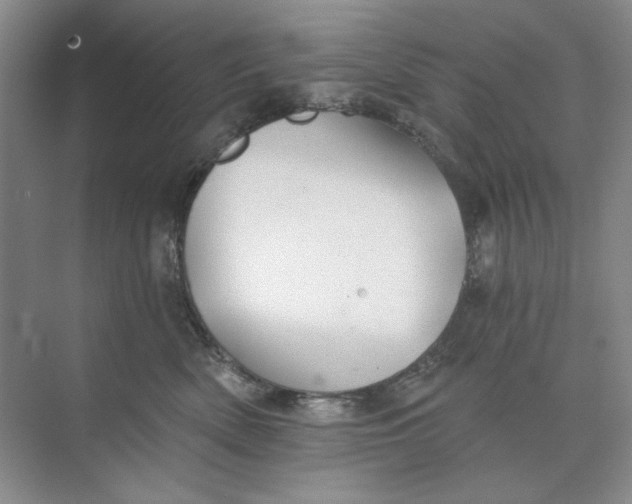 X0000073830522200608311912