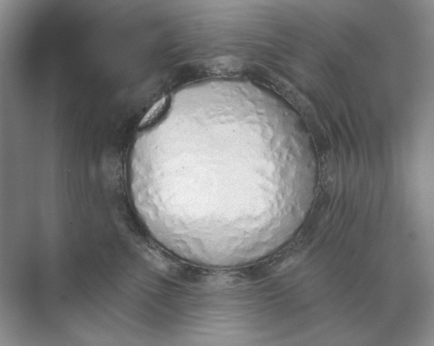 X0000073830523200608311912